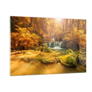 Billede på glas - Skovkaskade i guld - 120x80 cm