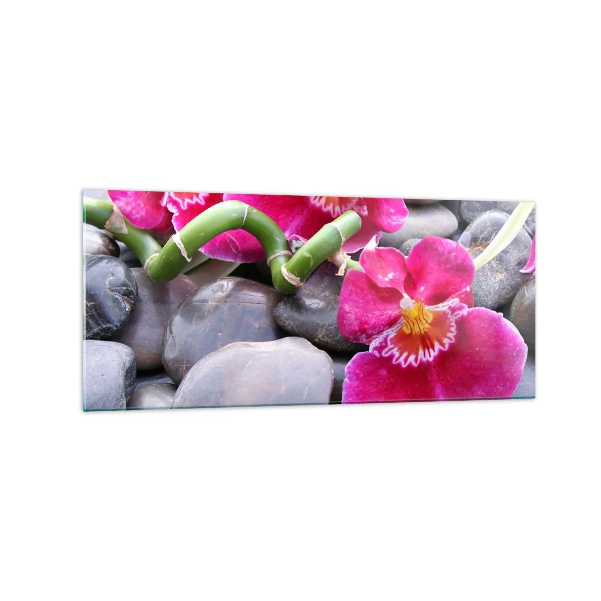 Billede på glas - Kulde og varme - 120x50 cm