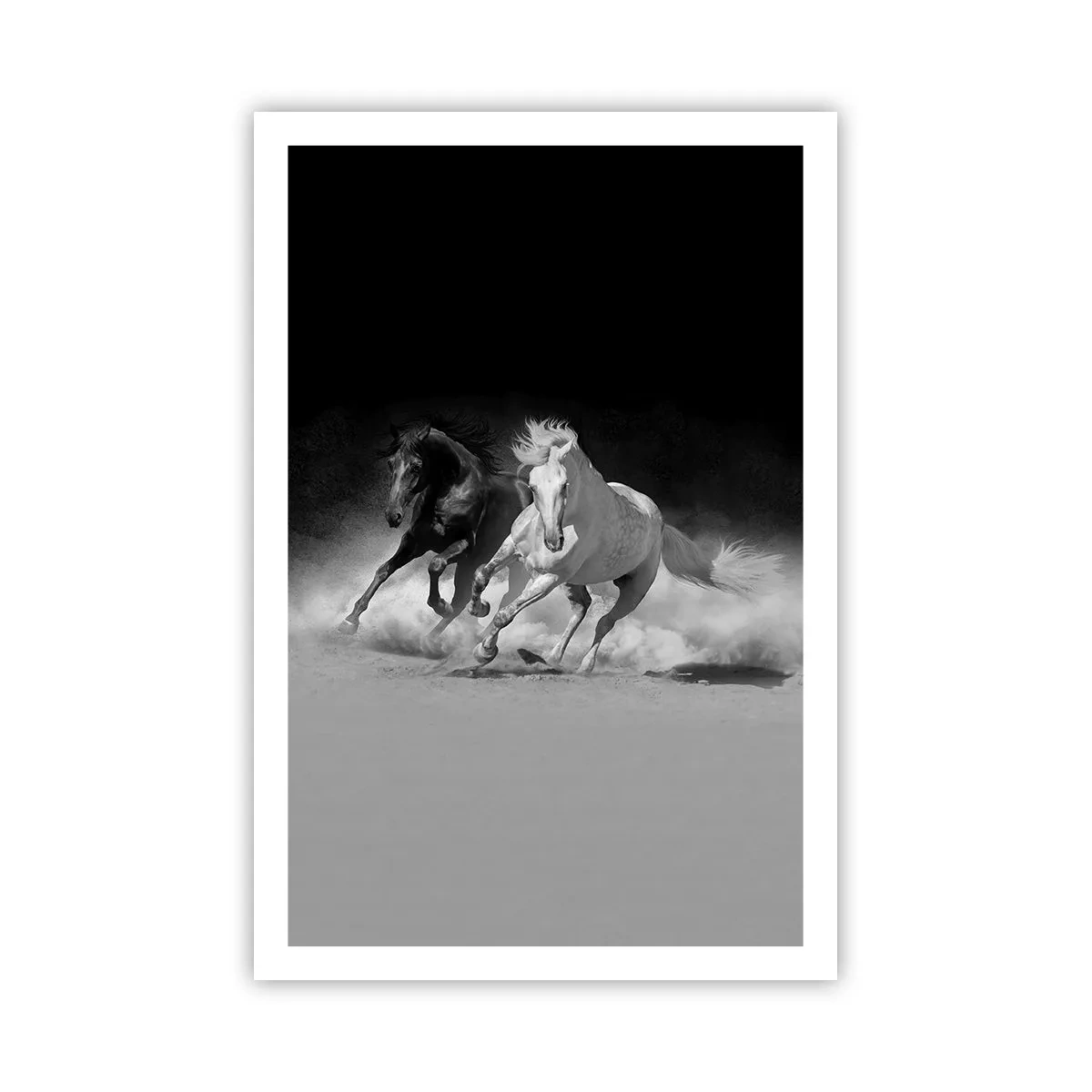 Plakat - Frihedens galop - 61x91 cm