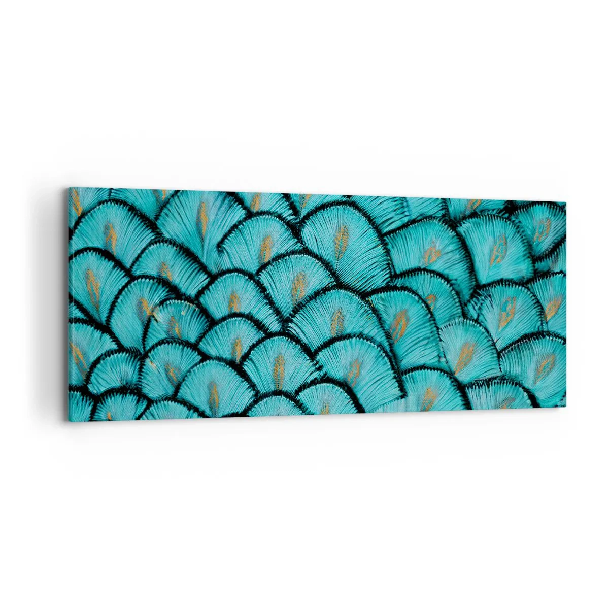 Lærredstryk - Billede på lærred - Den store fjer-galla - 120x50 cm