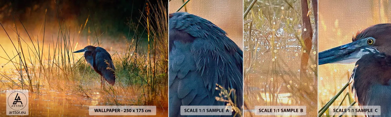 Prøve Fototapet Premium Canvas - Giv mig en chance med disse billeder - Hejre, Fugl, Natur - 100x30 cm