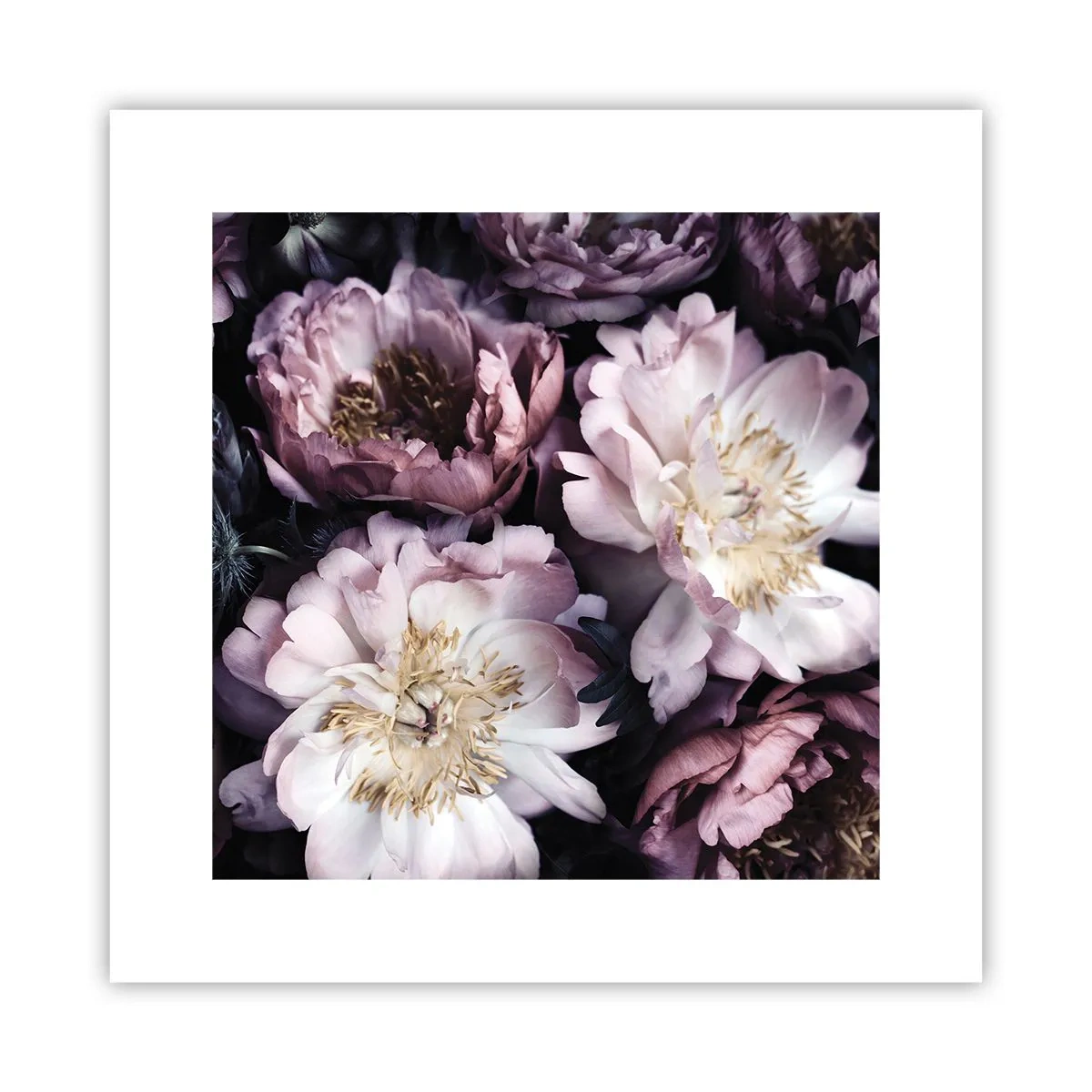 Plakat - Gammeldags buket - 30x30 cm