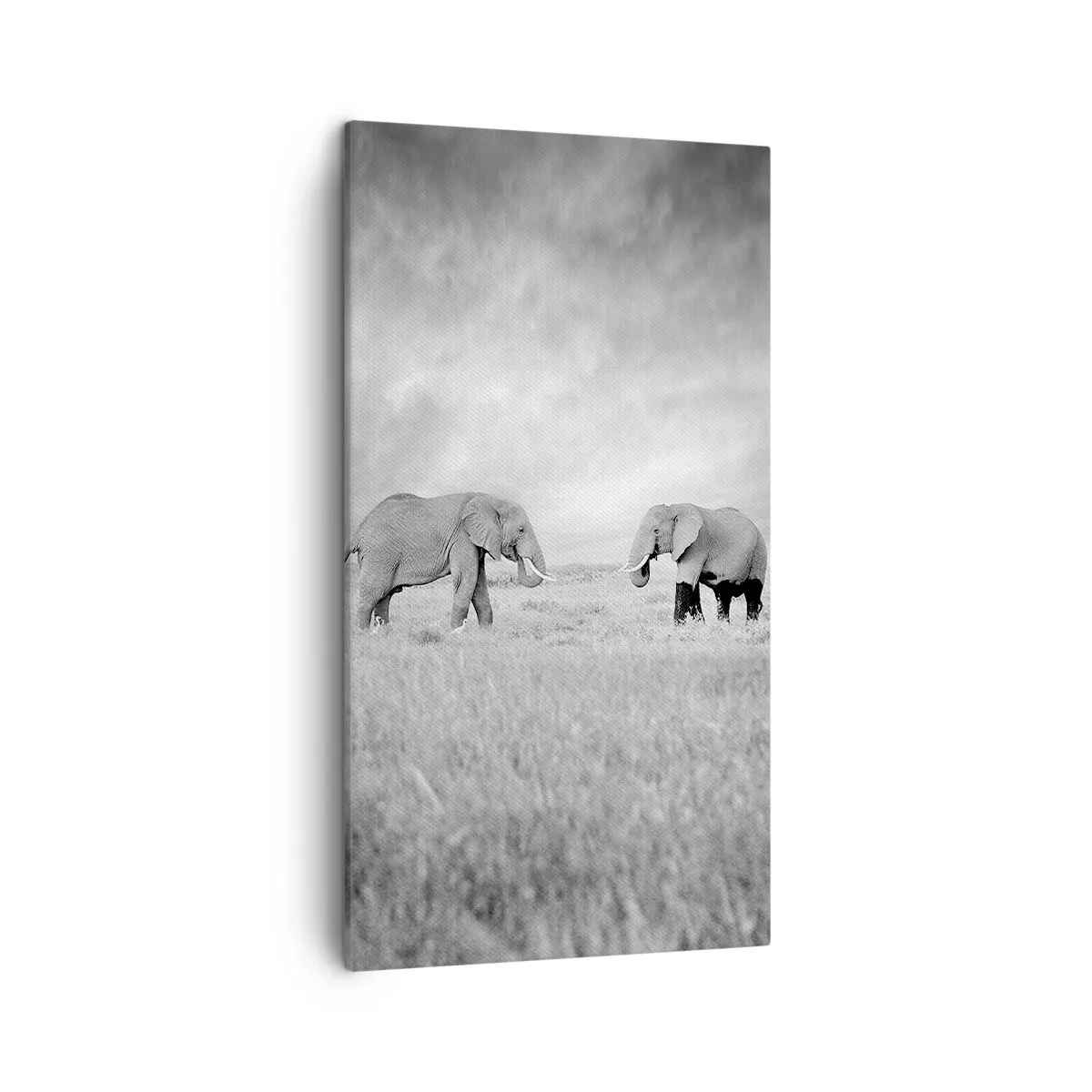 Lærredstryk - Billede på lærred - Gråt er smukt - 45x80 cm