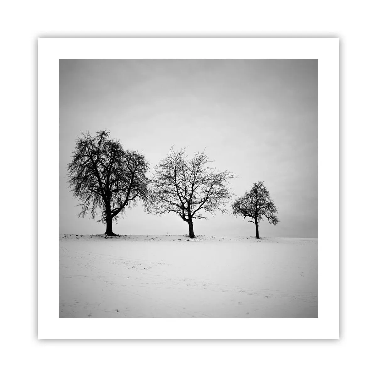 Plakat - Hvad drømmer de om? - 50x50 cm