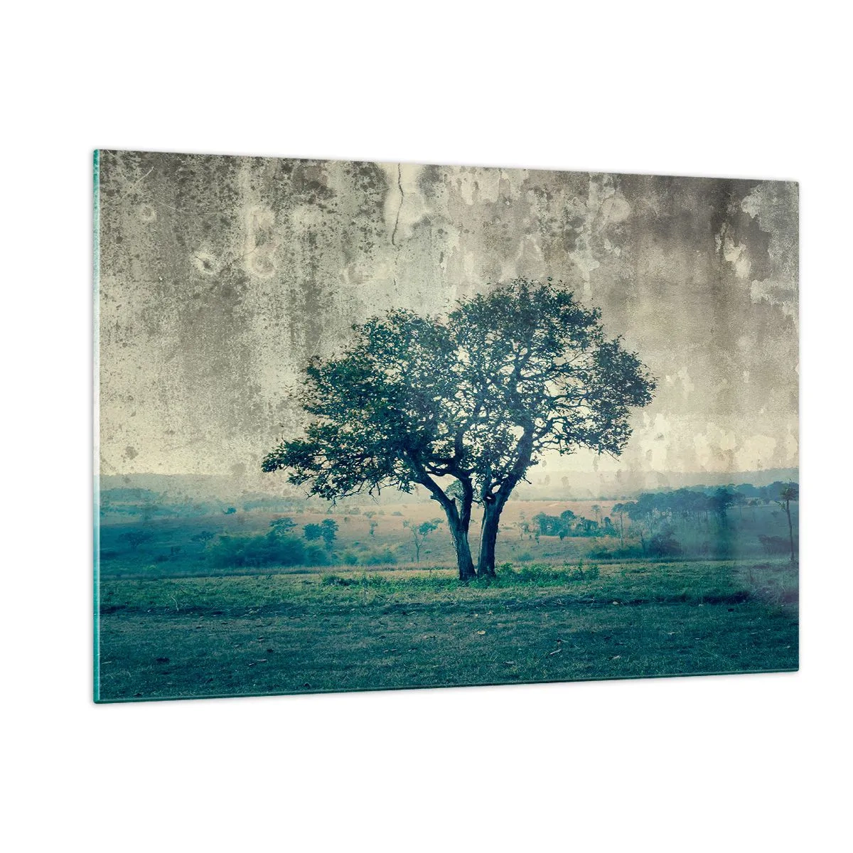 Billede på glas - Et æbletræ på en blå membran? - 120x80 cm