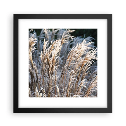 Plakat i sort ramme - Pyntet med frost - 30x30 cm