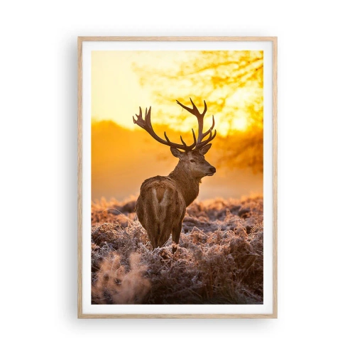 Plakat i ramme af lyst egetræ - Kongen af efterårsskoven - 70x100 cm