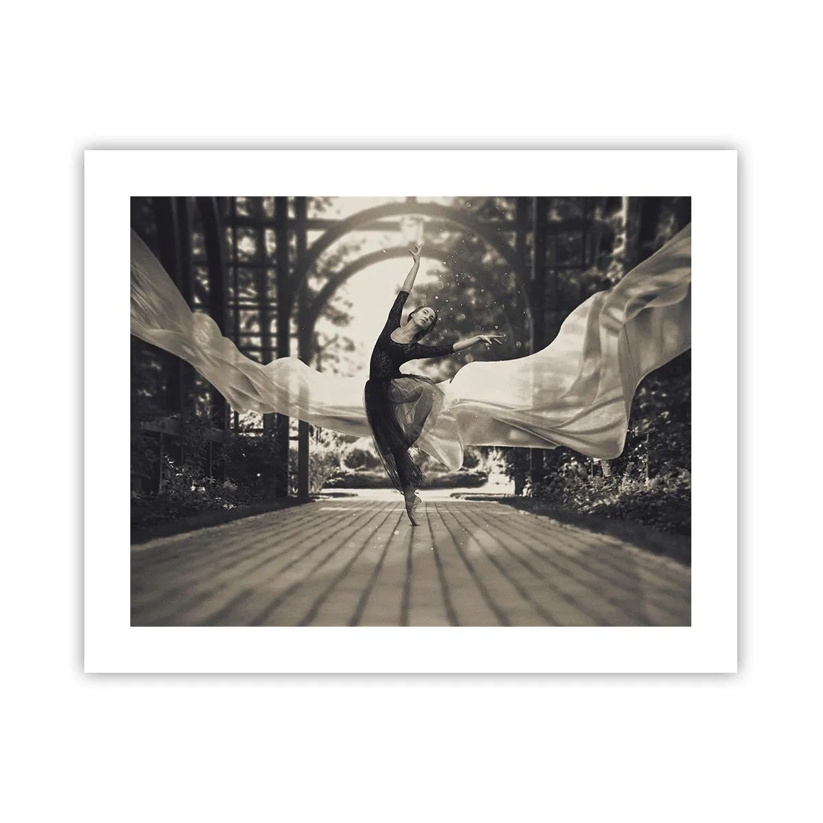 Plakat - Dans i haven - 50x40 cm