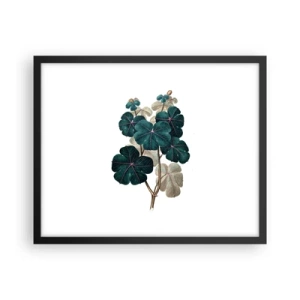 Plakat i sort ramme - Fra et gammelt herbarium - 50x40 cm