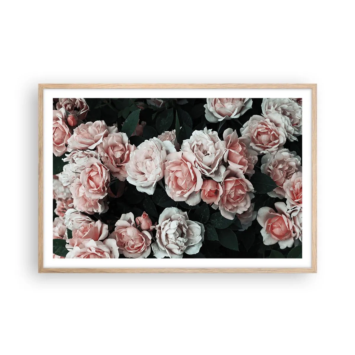 Plakat i ramme af lyst egetræ - Lyserød ansamble - 91x61 cm