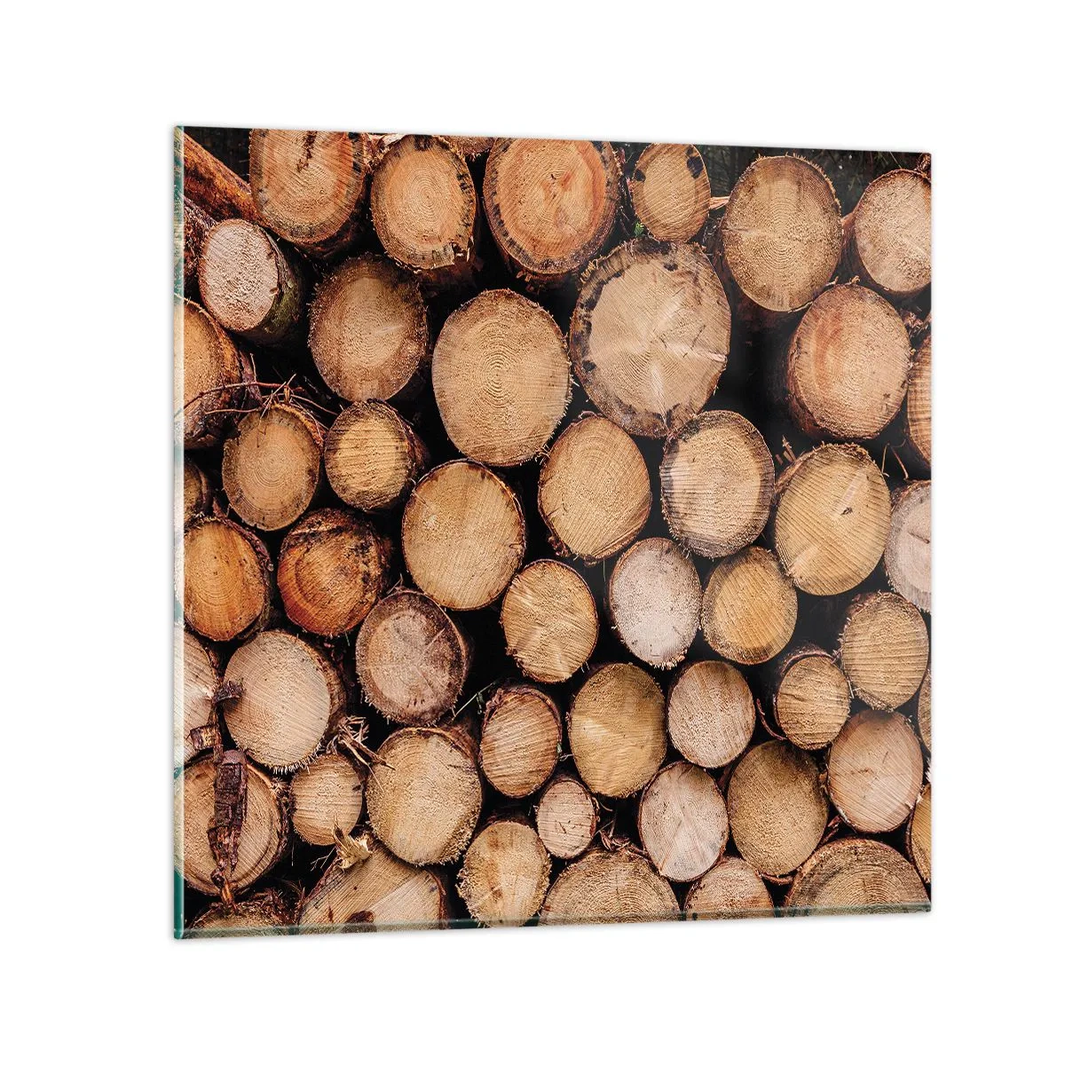 Billede på glas - En ny begyndelse - 70x70 cm