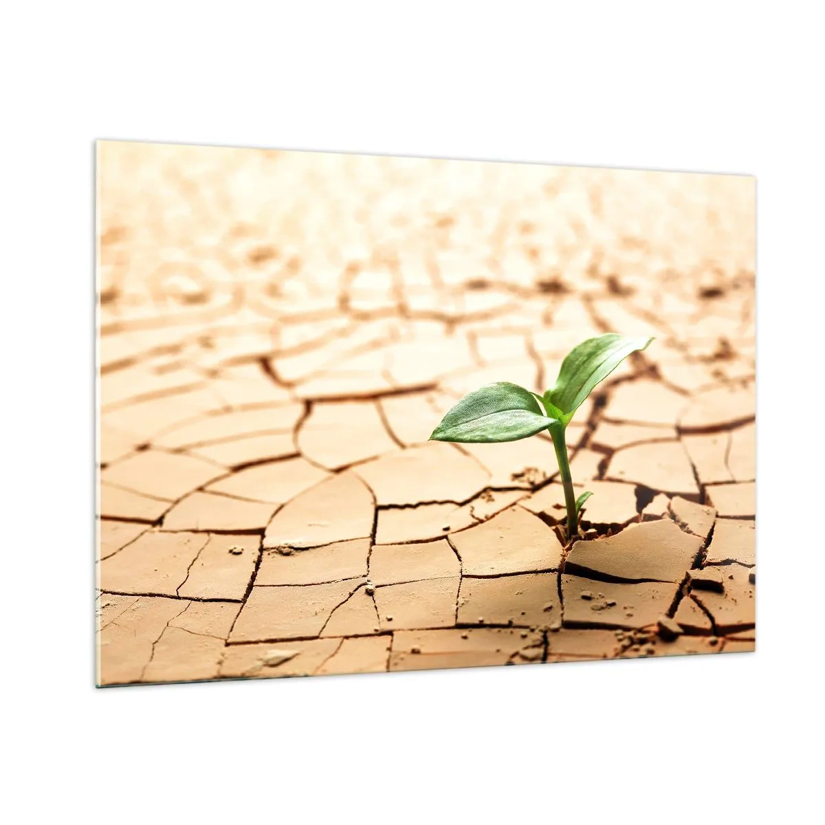 Billede på glas - Den ukuelige livskraft - 100x70 cm