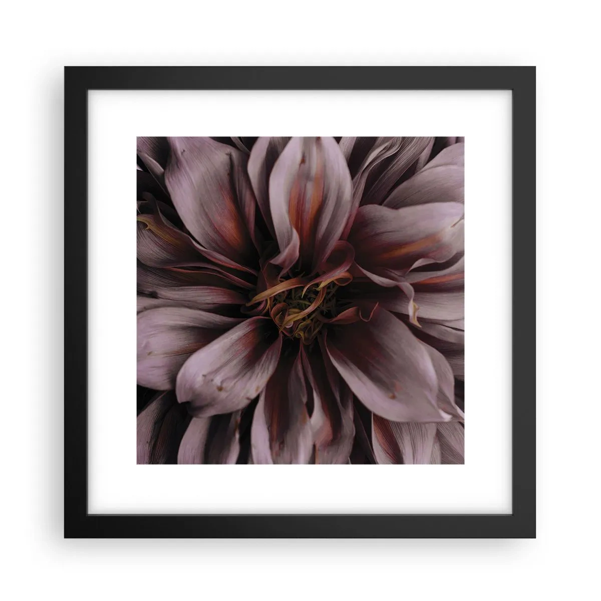 Plakat i sort ramme - Blomstret hjerte - 30x30 cm