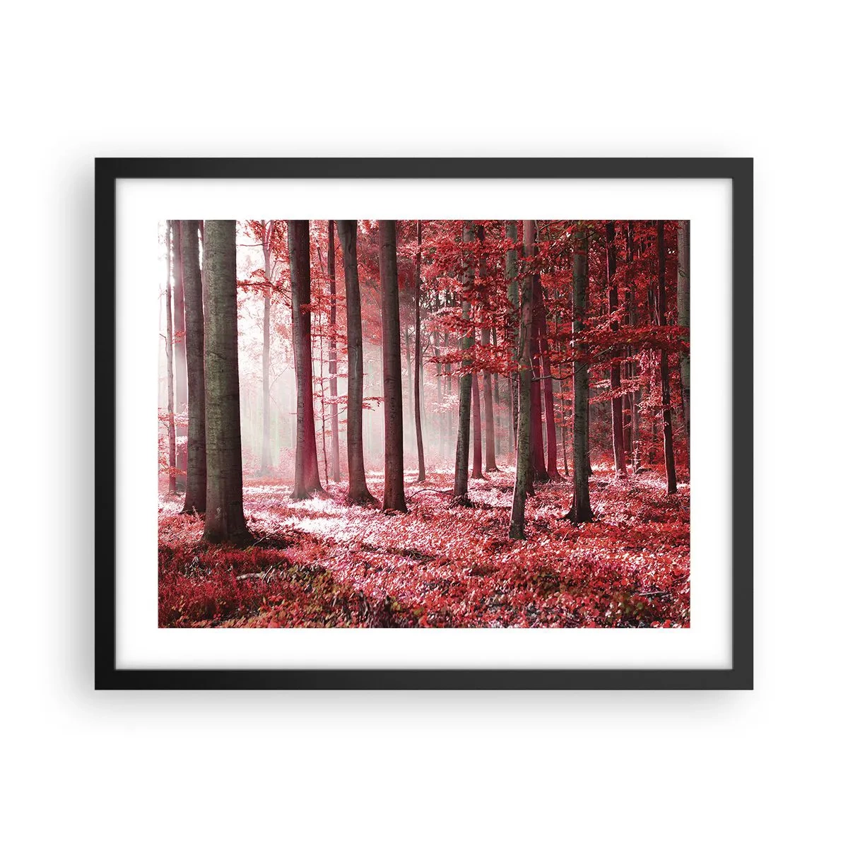 Plakat i sort ramme - Rød er lige så smuk - 50x40 cm