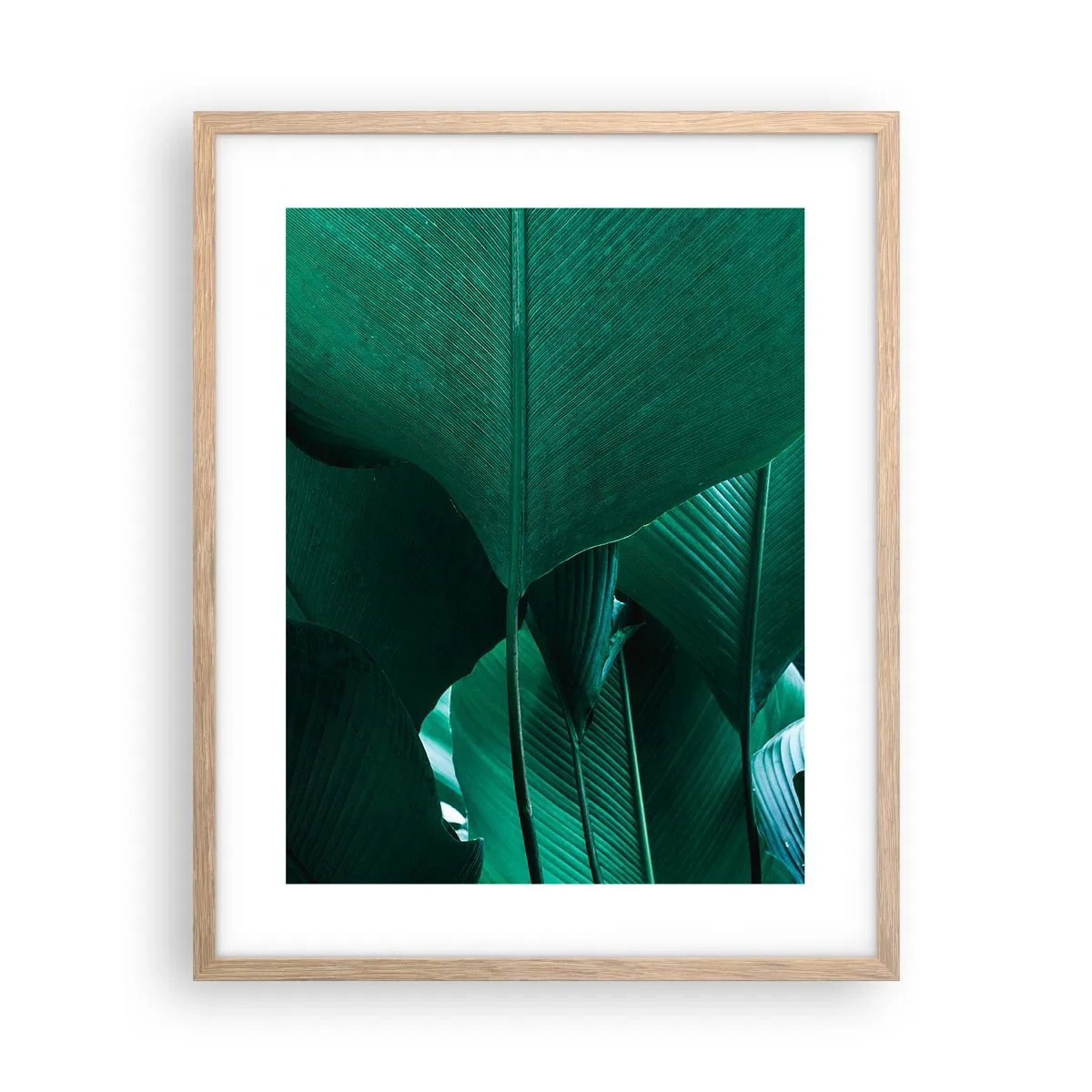 Plakat i ramme af lyst egetræ - Mod lyset - 40x50 cm