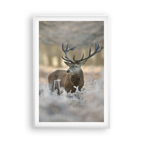 Plakat i hvid ramme - En frisk morgen - 61x91 cm