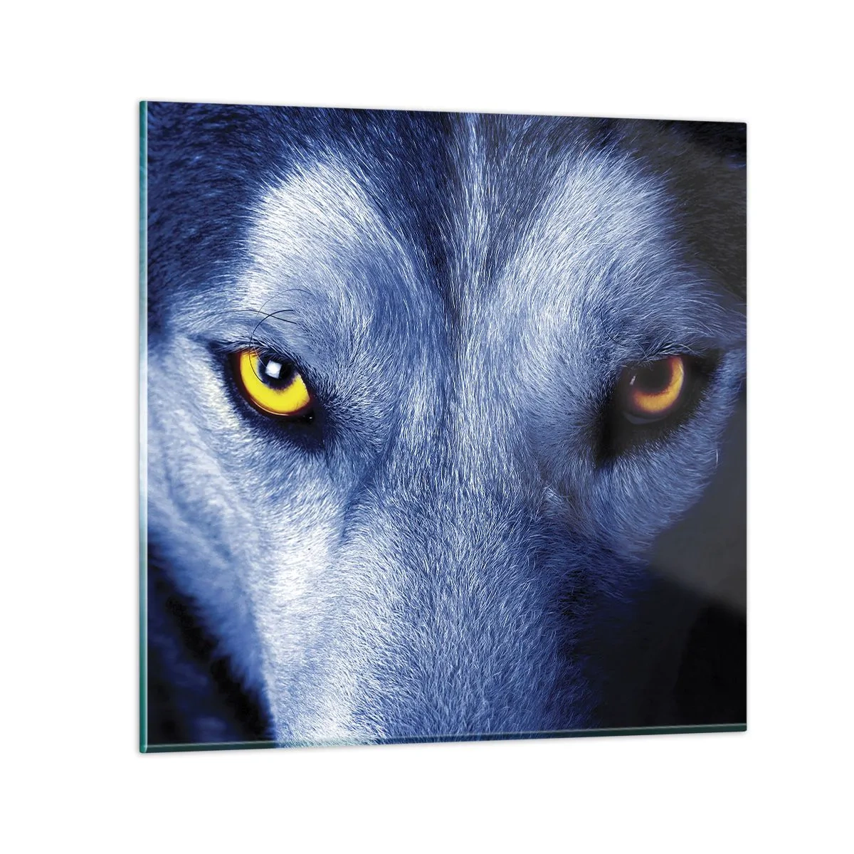 Billede på glas - Et hypnotiserende udseende - 30x30 cm