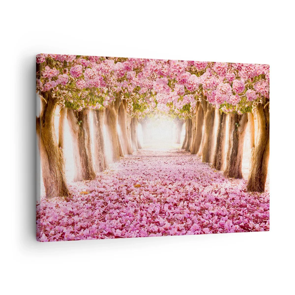 Lærredstryk - Billede på lærred - En allé med blomstrende træer i lyserøde nuancer - 70x50cm - Vejen til paradis - Moderne vægdekoration til stue og soveværelse ARTTOR