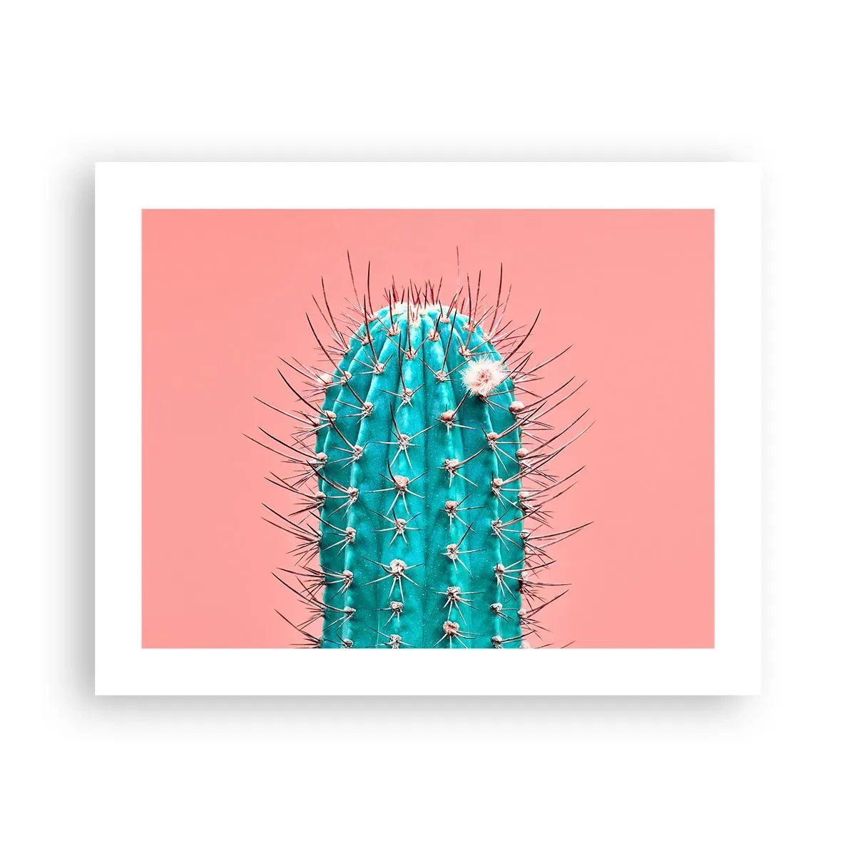 Plakat - Bare se - 50x40 cm