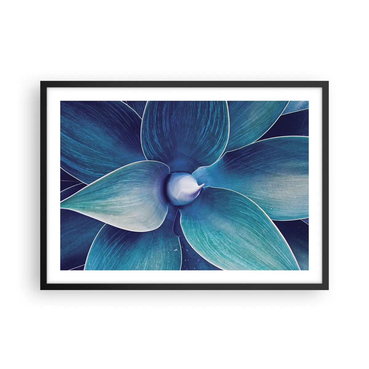 Plakat i sort ramme - Blå fra himlen - 70x50 cm