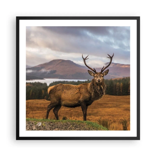 Plakat i sort ramme - Naturens majestæt - 60x60 cm
