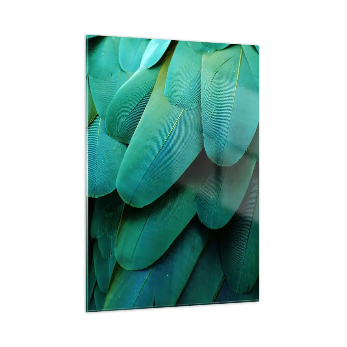 Billede på glas - Papegøjenaturens præcision - 50x70 cm