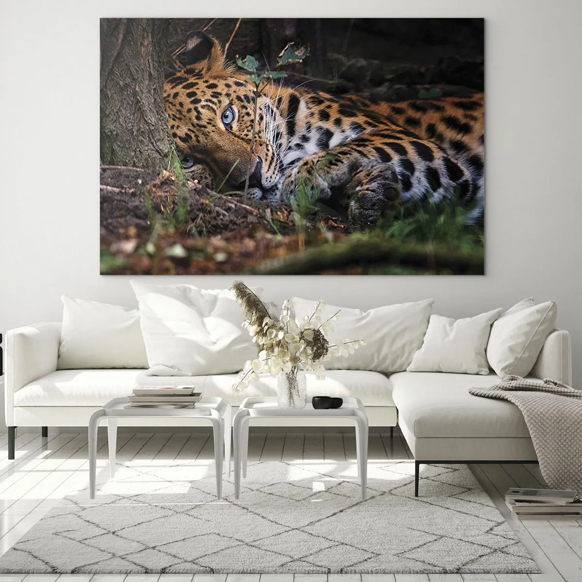 Billede på glas - En jaguar ligger på jorden og kigger roligt ind i kameraet. - 70x50cm - Stol på mig - Moderne vægdekoration til stue og soveværelse ARTTOR