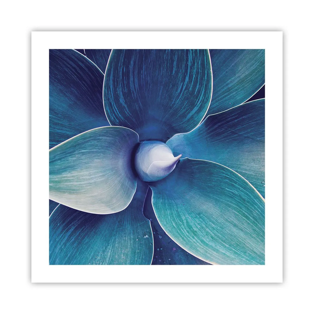 Plakat - Blå fra himlen - 50x50 cm