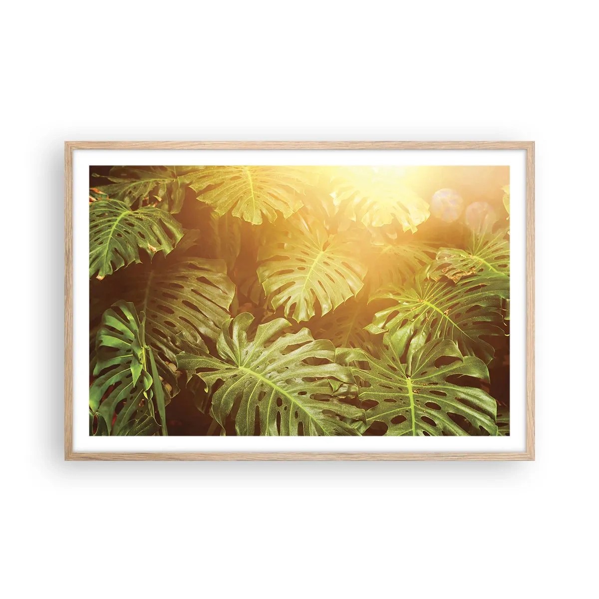 Plakat i ramme af lyst egetræ - Træd ind i det grønne... - 91x61 cm