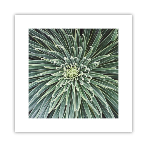 Plakat - En stjernes fødsel - 30x30 cm