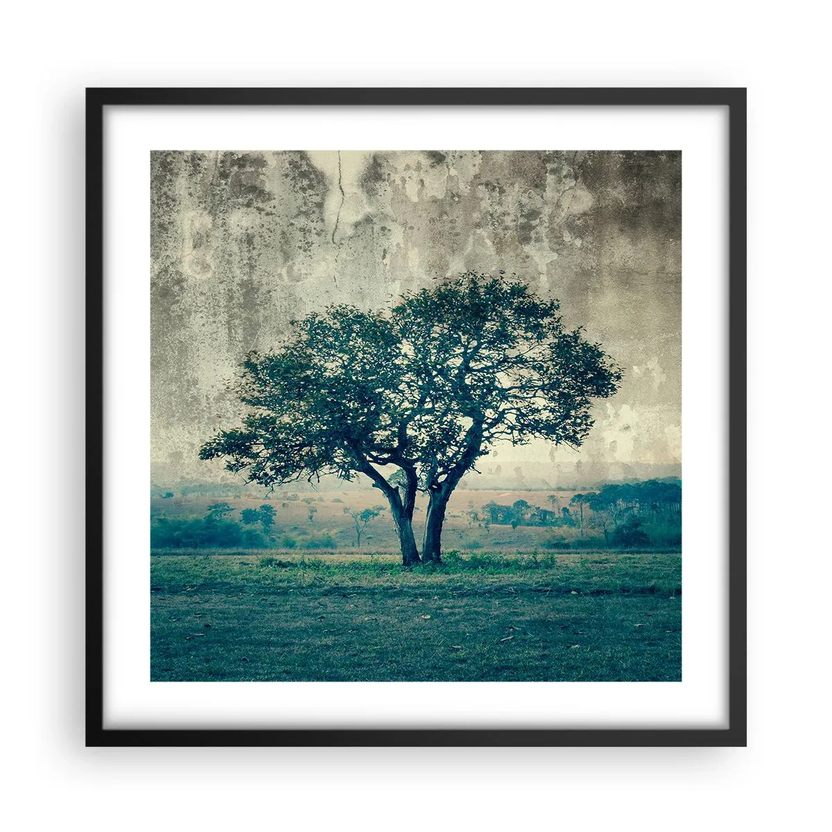 Plakat i sort ramme - Et æbletræ på en blå membran? - 50x50 cm