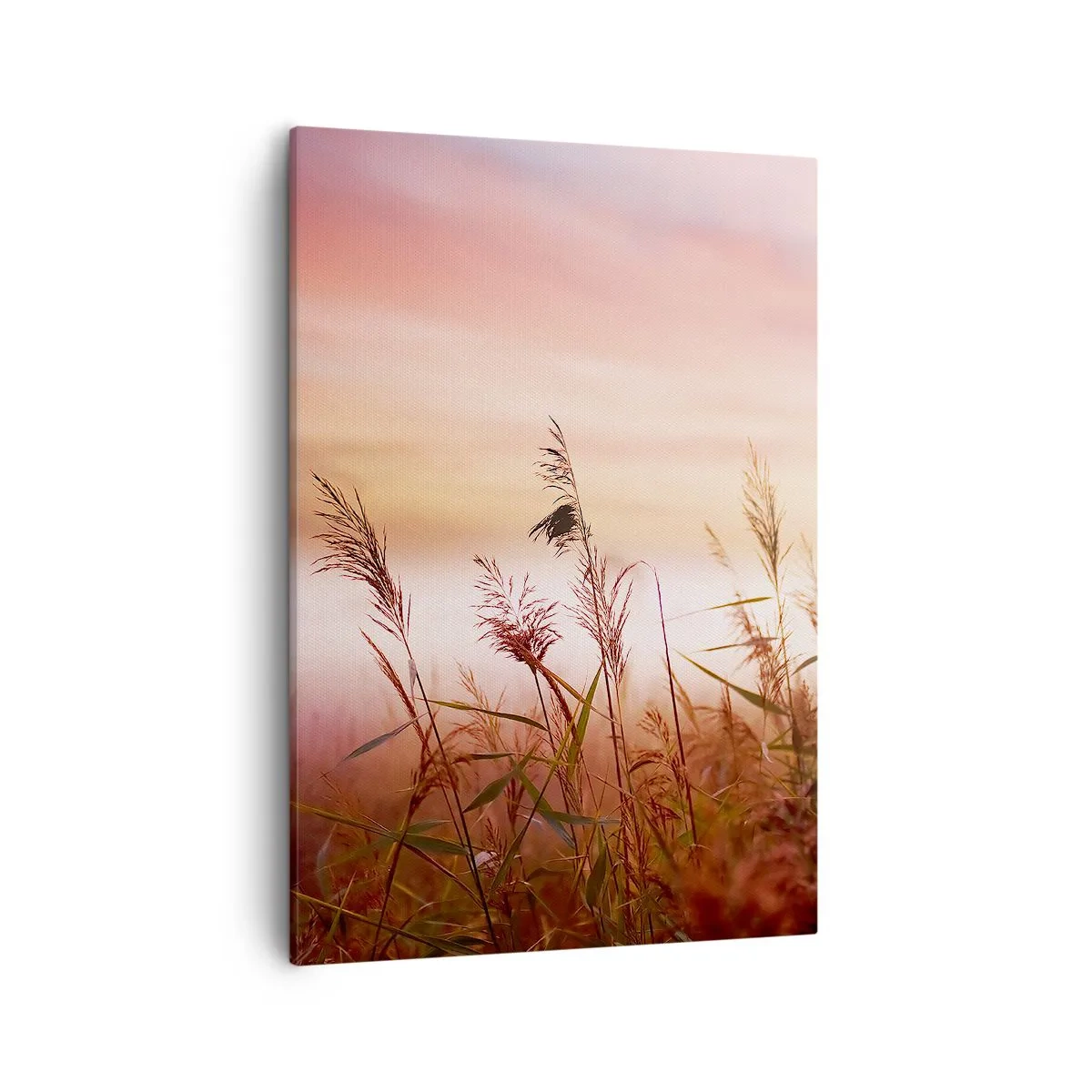 Lærredstryk - Billede på lærred - Drager, blæsere, vind - 50x70 cm