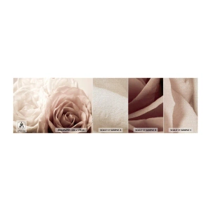 Prøve Fototapet Premium Canvas - I rosens hjerte - Roser, Blomster, Romantisk - 100x30 cm