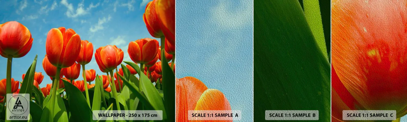 Prøve Fototapet Premium Sand - Bortset fra den blå himmel behøver de intet i livet - Blomster, Tulipaner, Natur - 100x30 cm