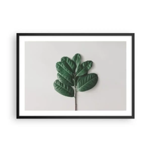 Plakat i sort ramme - Tegning af selve naturen - 70x50 cm