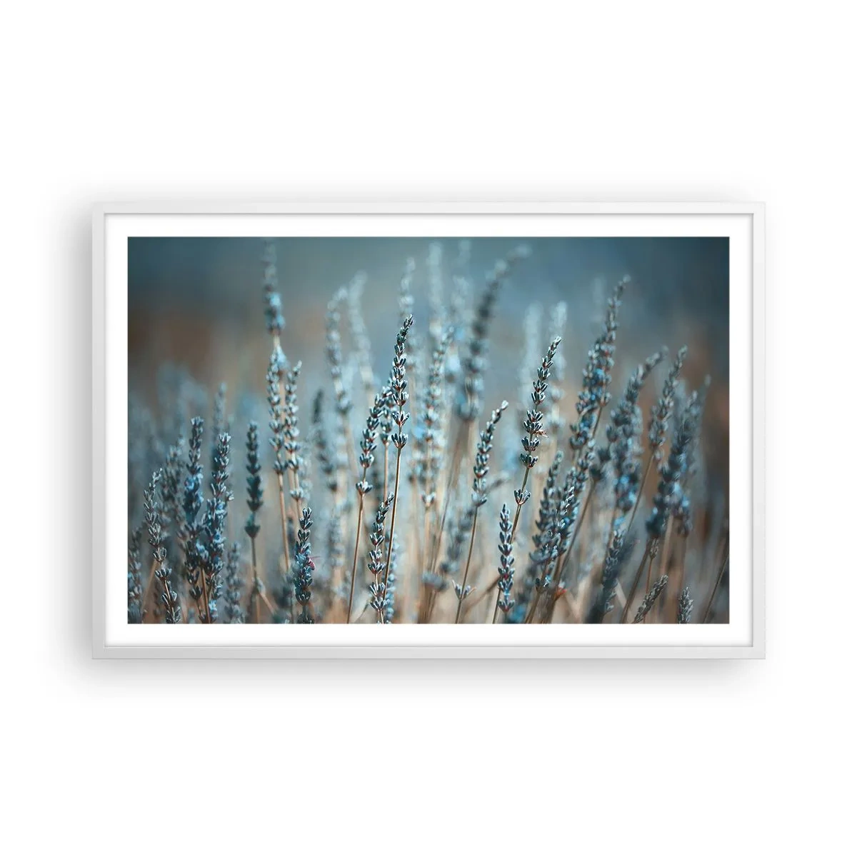 Plakat i hvid ramme - Duftende plet - 91x61 cm