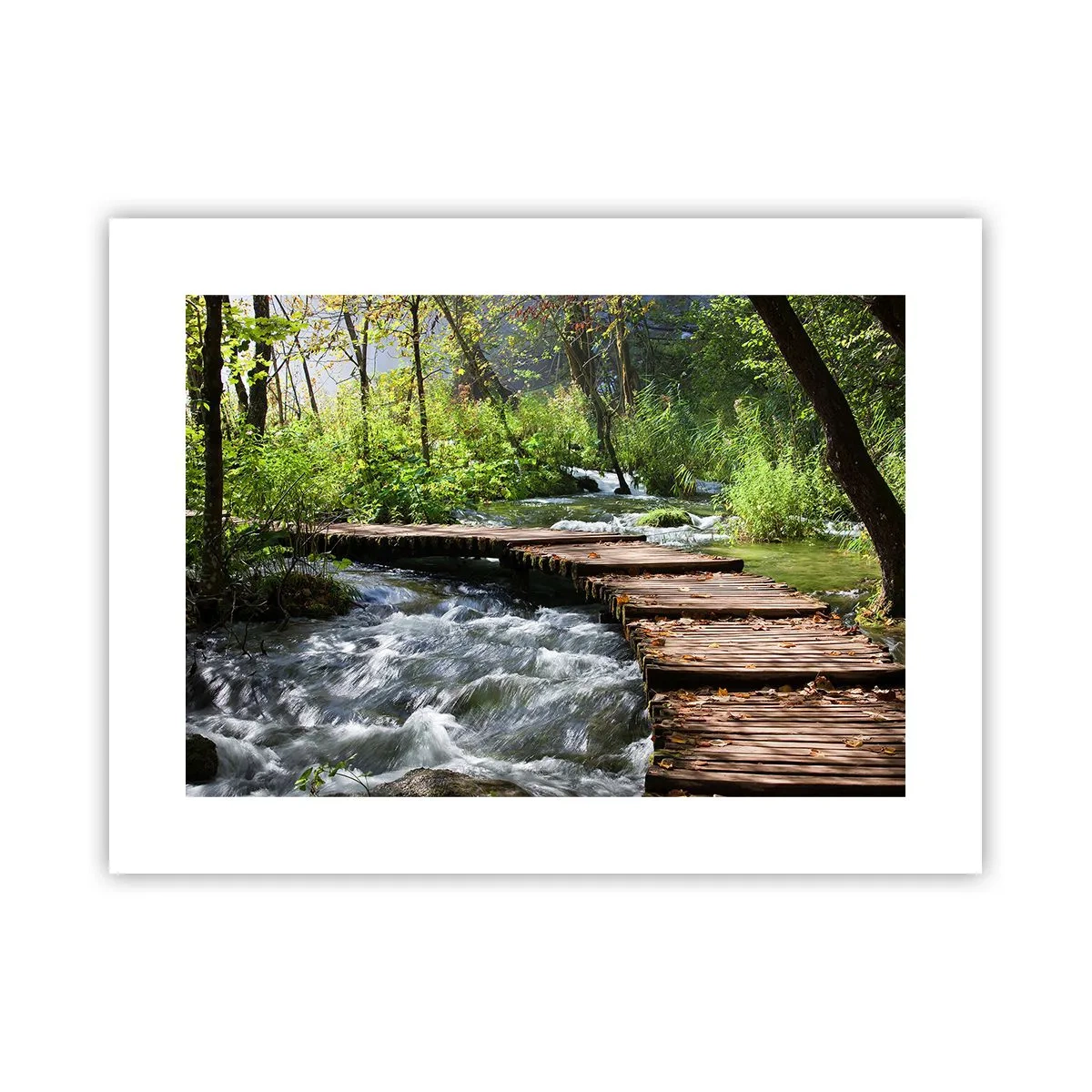 Plakat - Over en skummende kaskade - 40x30 cm