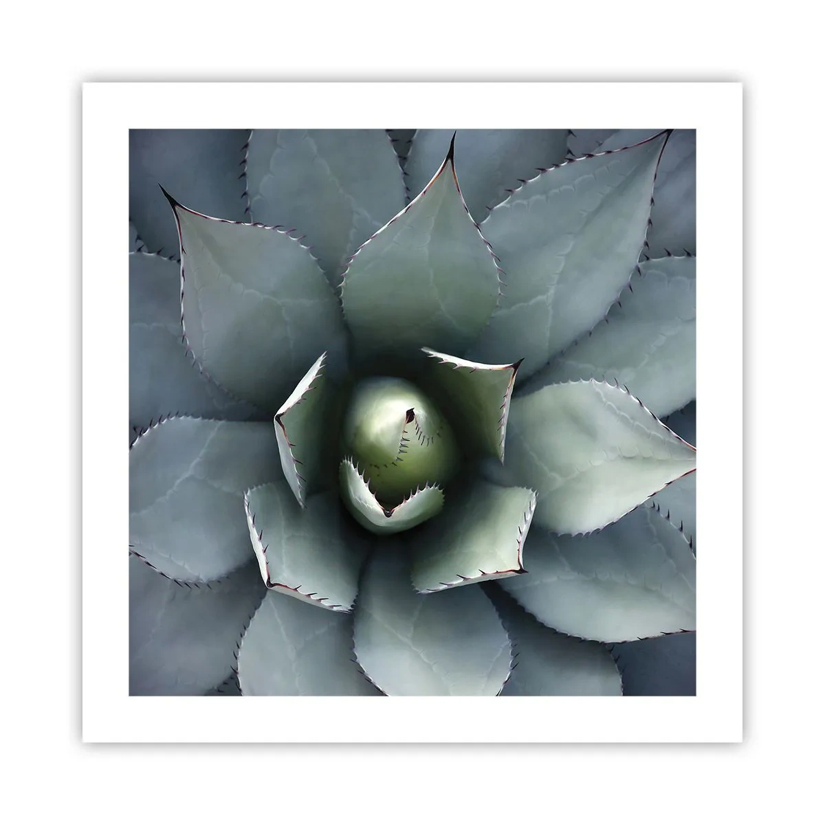 Plakat - Lokkemad og advarsler - 50x50 cm