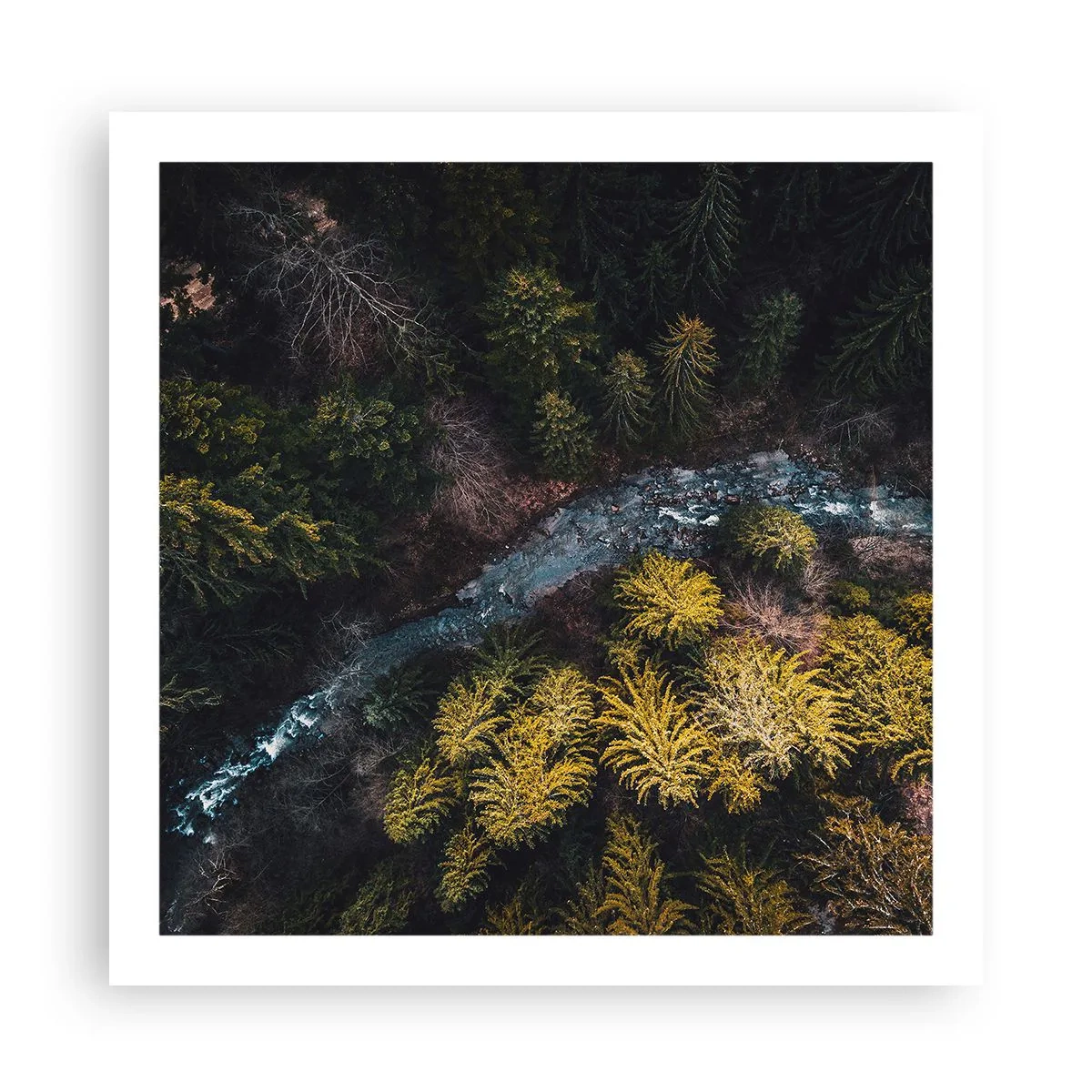 Plakat - Hurtigt, stadig hurtigere - 60x60 cm