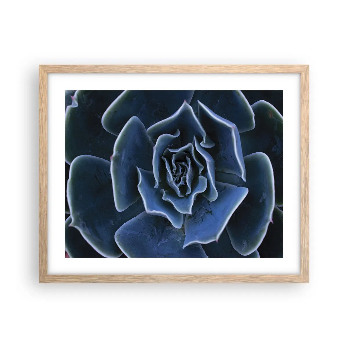 Plakat i ramme af lyst egetræ - Ørkenblomst - 50x40 cm