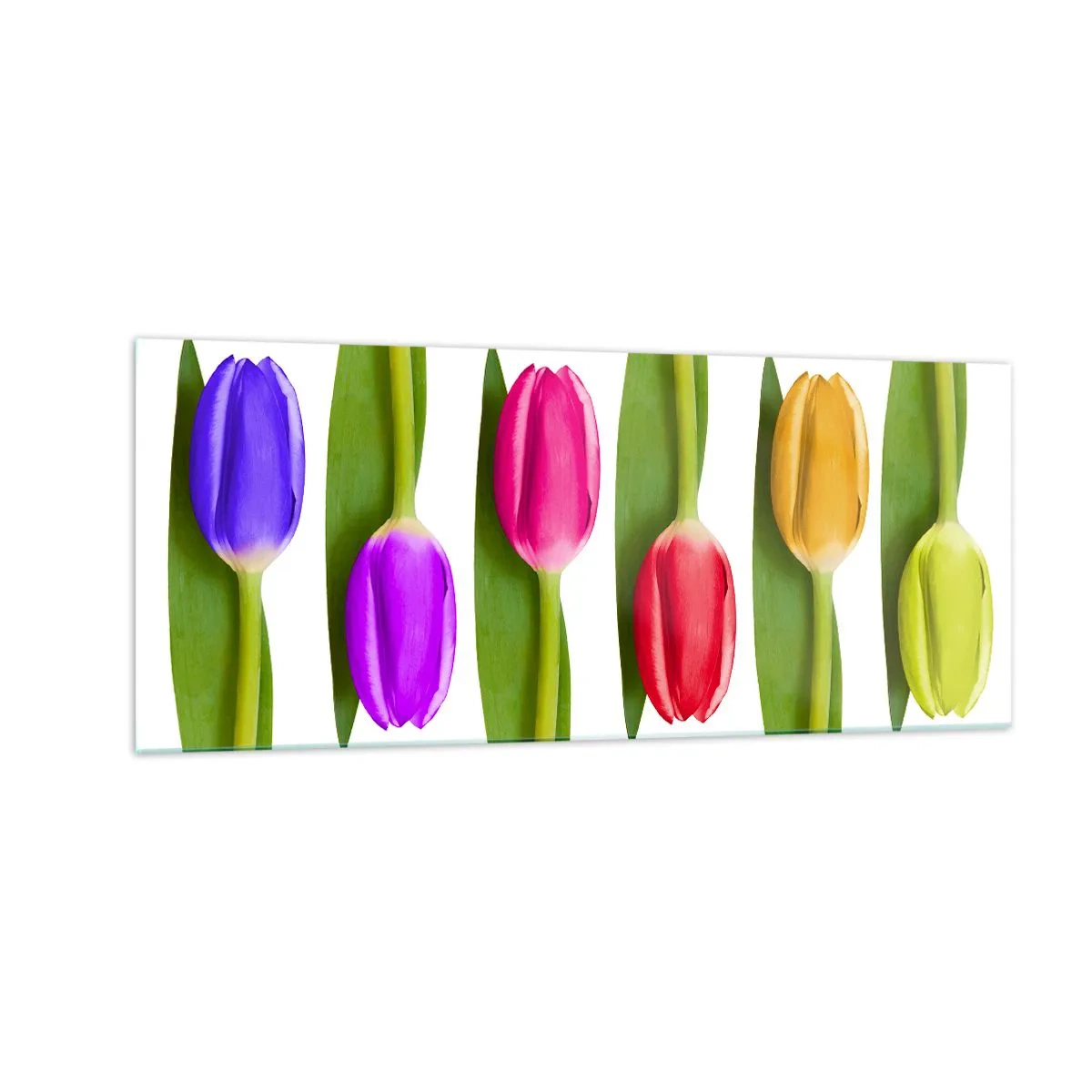 Billede på glas - Regnbuesammensætning - 100x40 cm