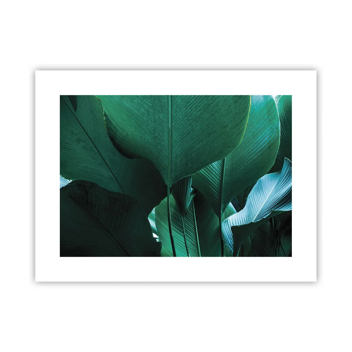 Plakat - Mod lyset - 40x30 cm