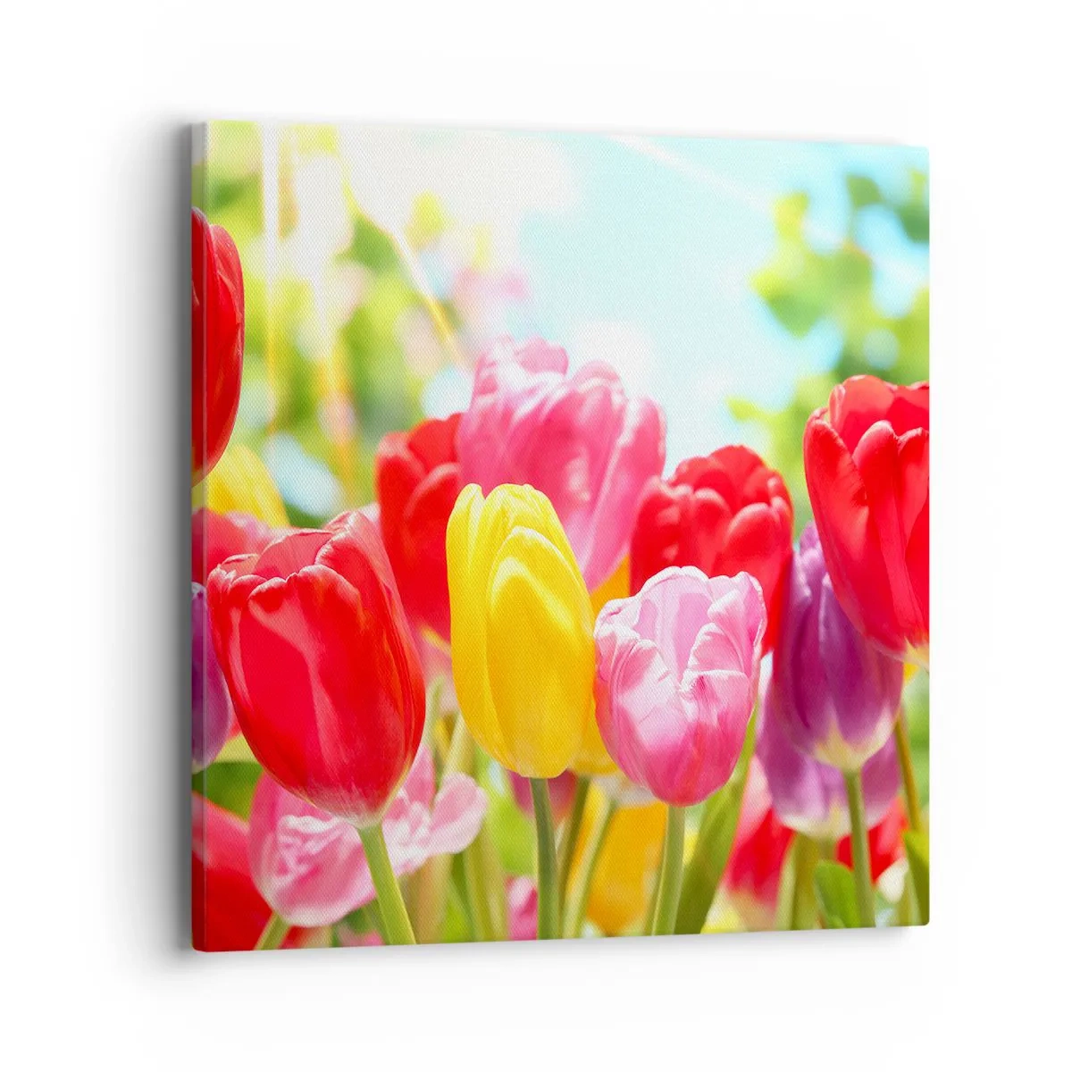 Lærredstryk - Billede på lærred - Det er os, maj måneds farver! - 40x40 cm