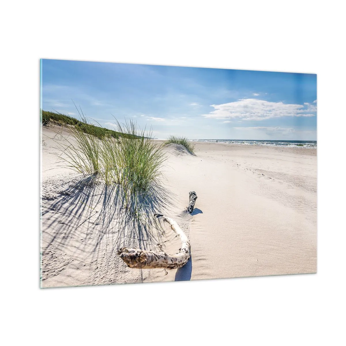 Billede på glas - Den smukkeste? Baltisk - 100x70 cm