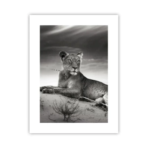 Plakat - Resten af ørkendronningen - 30x40 cm