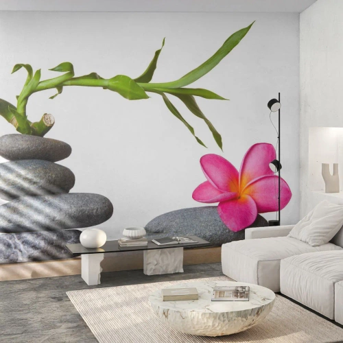 Fototapet Premium Canvas - Livets og varighedens farver - Blomst, Sten, Spa - 350x256 cm