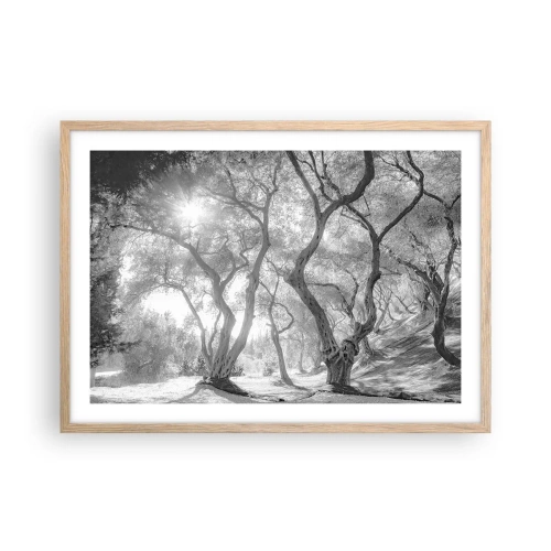 Plakat i ramme af lyst egetræ - I en olivenlund - 70x50 cm