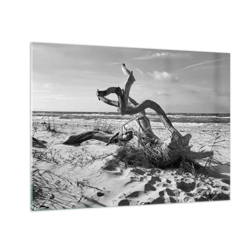 Billede på glas - Et sort-hvidt landskab med en nedfalden gren på en strand ved havet. - 70x50cm - Havets skulptur - Moderne vægdekoration til stue og soveværelse ARTTOR
