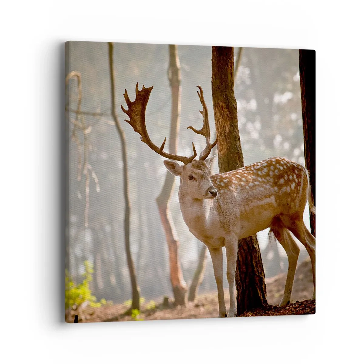 Lærredstryk - Billede på lærred - Ungdommens lys - 40x40 cm