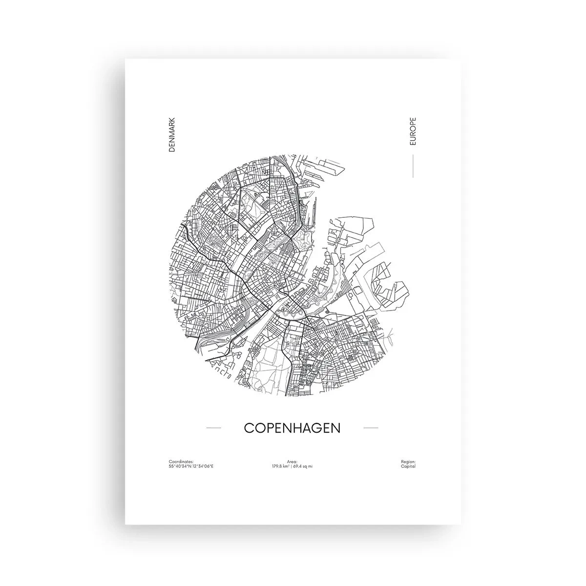 Plakat - Københavns anatomi - 50x70 cm